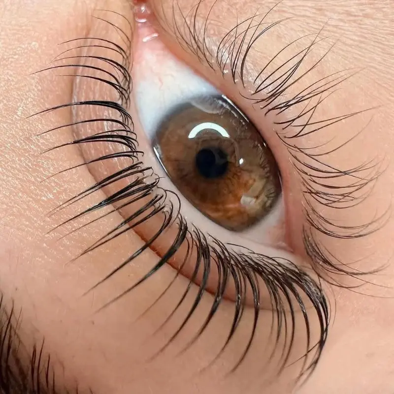 Lash Result 2