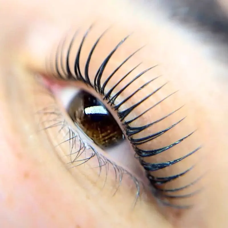 Lash Result 1